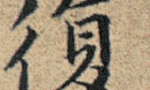 鸦胆子的作用和功效禁忌专区_鸦胆子的作用和功效禁忌专区_鸦胆子的作用网